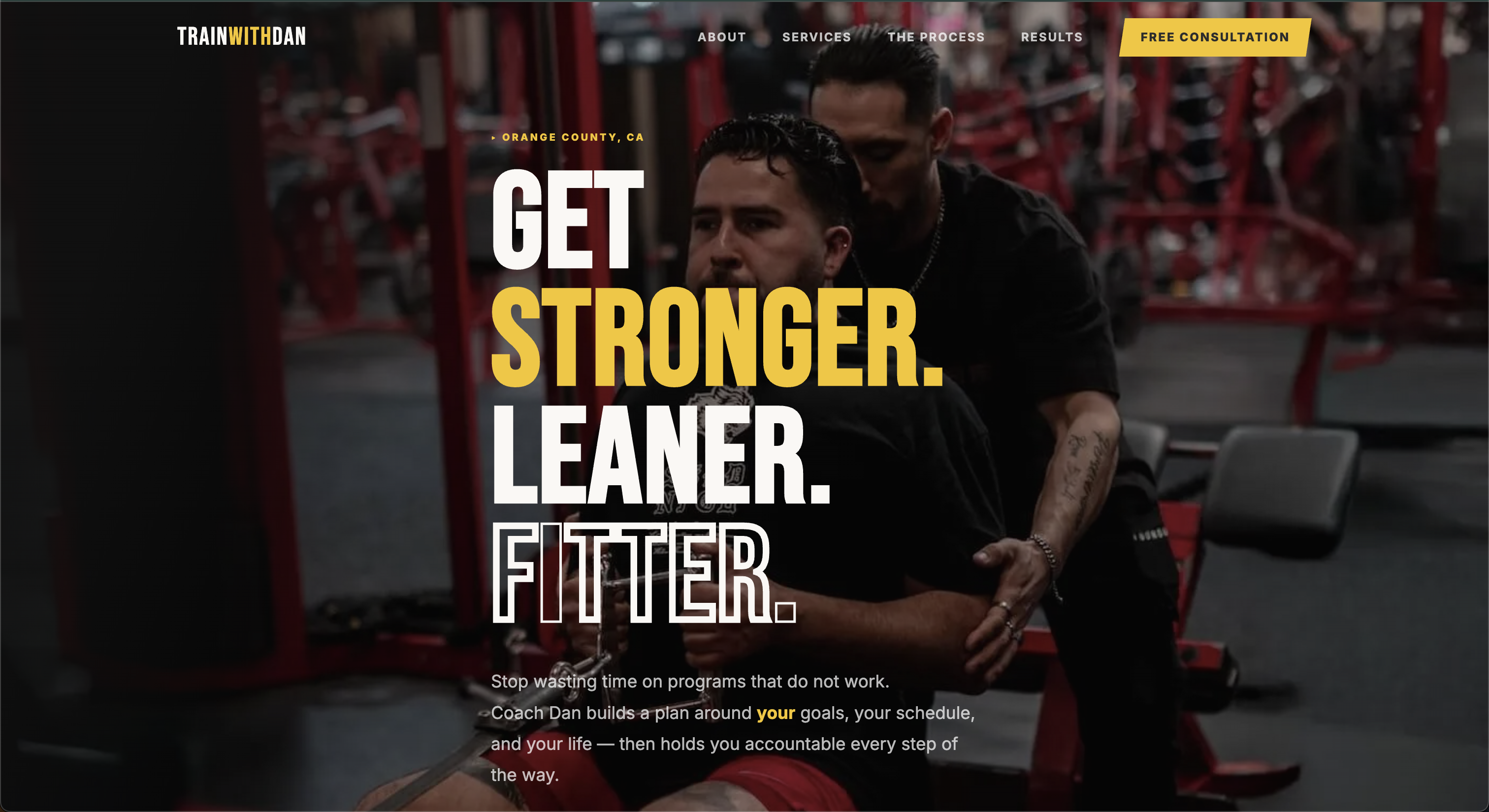 Train With Dan website screenshot